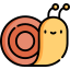 caracol